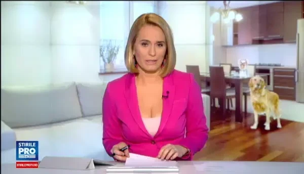 Modelul Dragnea, in Medias: un consilier vrea sa limiteze libertatea de expresie a cainilor. Sa nu mai latre asa intens