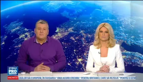 Cainele care are parte de o viata de vedeta. Tratamentul regesc de care s-a bucurat dupa castigarea unei competitii