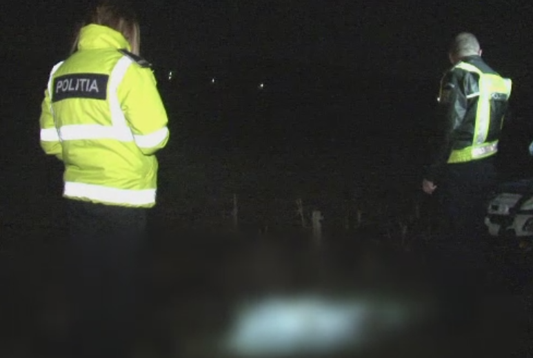 Zeci de caini ucisi cu o pusca de vanatoare, intr-o localitate din Botosani. Cine este principalul suspect al autoritatilor