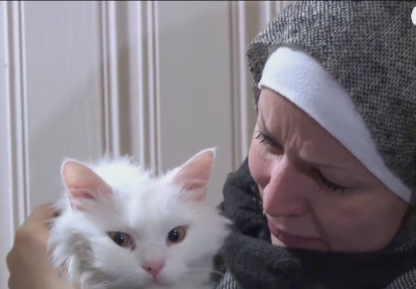 O pisica "refugiata" si-a regasit familia dupa luni de zile. Stapanii au pierdut-o in Grecia si au primit-o in Germania