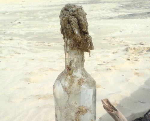 O sticla aruncata in Oceanul Atlantic, la New York, a fost gasita pe o plaja din Franta. In cat timp a ajuns in Europa