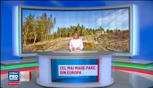 Am putea avea cea mai mare rezervatie naturala din Europa daca ne-am opri din defrisat. Lemnul romanesc, o afacere uriasa