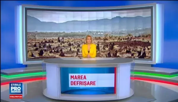 Joaca de-a baba oarba pe 3 judete, intre hotii de lemne si autoritati. Cum a ajuns un activist sa faca el treaba politiei