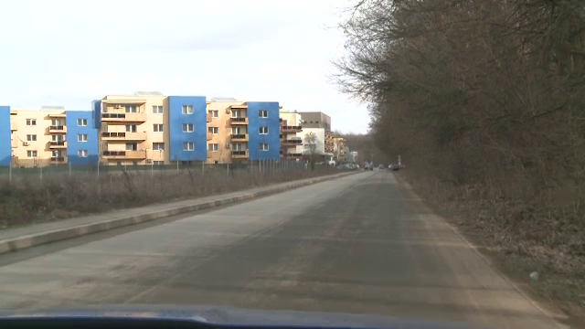 O zona rezidentiala din Capitala, asaltata de porci mistreti. Unde au fost construite blocurile