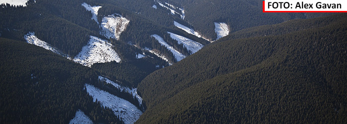 Mesaj cutremurator al printului Charles pentru o Romanie cu "cancer" in paduri. "53 de cazuri de taieri ilegale pe zi"