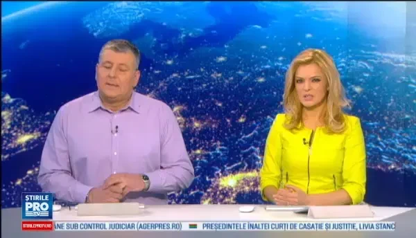 Pisica disparuta in ziua de Craciun, gasita dupa doua luni, la 2.000 km de casa