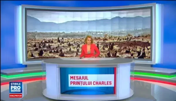 Zeci de mii de hectare de paduri din Romania, rase de pe fata pamantului. Mesajul dur al printului Charles