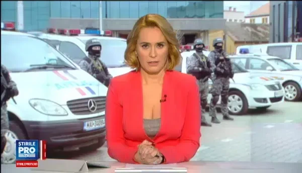 Perchezitii la casele de licitatii din Capitala. Politia a plecat cu mii de tablouri, sabii dacice, kosoni, vase de Cucuteni