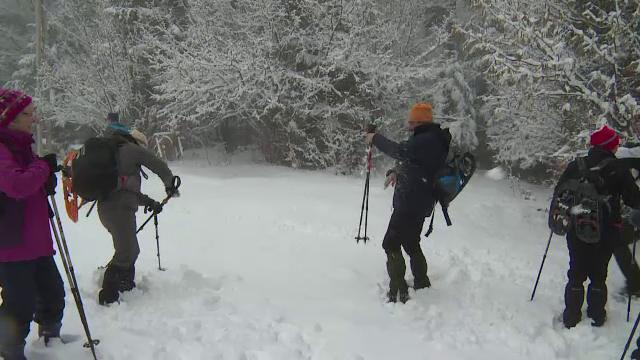 Au lasat Alpii lor pentru frumusetea Apusenilor. Ce au descoperit turistii francezi in Romania: "Este cu adevarat superb"