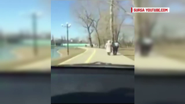 "E strigator la cer!" Gestul socant al unui sofer teribilist din Targoviste, dupa ce intra cu masina intr-un parc