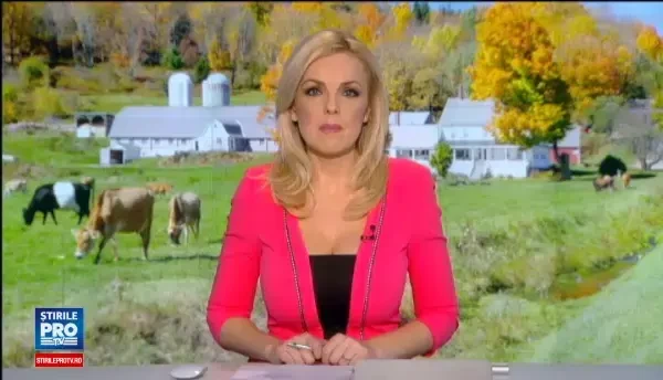 Cum vrea premierul Ciolos sa sustina gospodarii de la sate. Programul prin care antreprenorii locali vor fi ajutati de Guvern