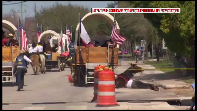Momentul in care o femeie din Texas este trantita de pe cal si ramane prinsa sub animal. Cum s-a petrecut incidentul