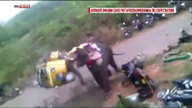 Festival religios, la un pas sa se transforme intr-o tragedie. Un elefant scapat de sub control a provocat panica