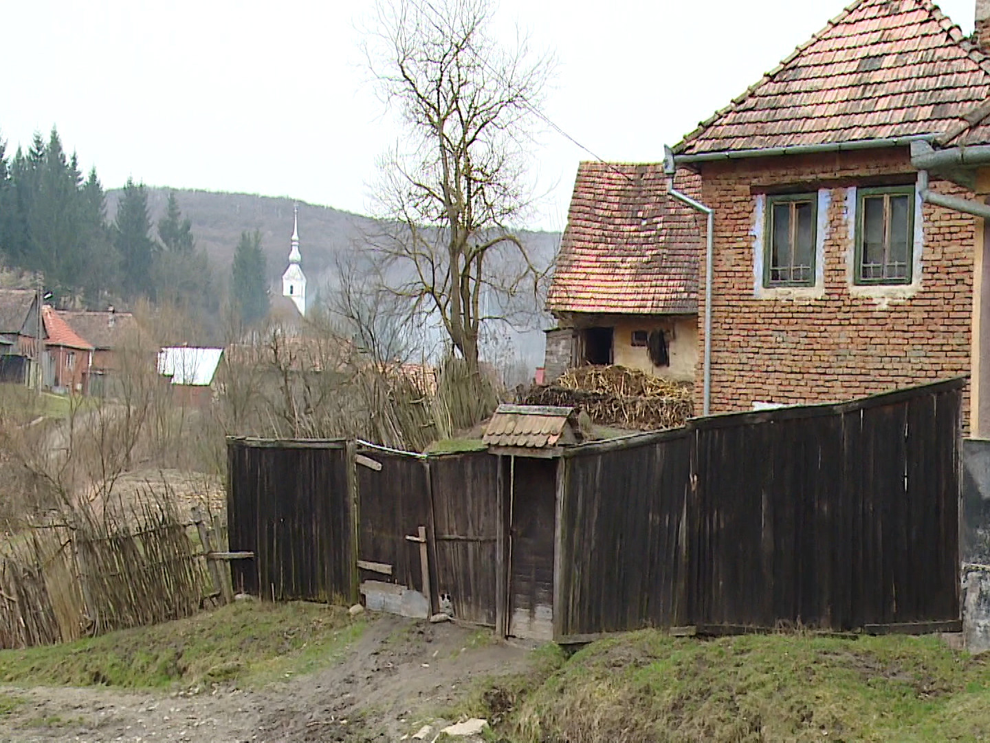Focuri de arma in judetul Mures! Un barbat agresiv a fost impuscat de politisti cu opt focuri de arma ca sa poata fi capturat