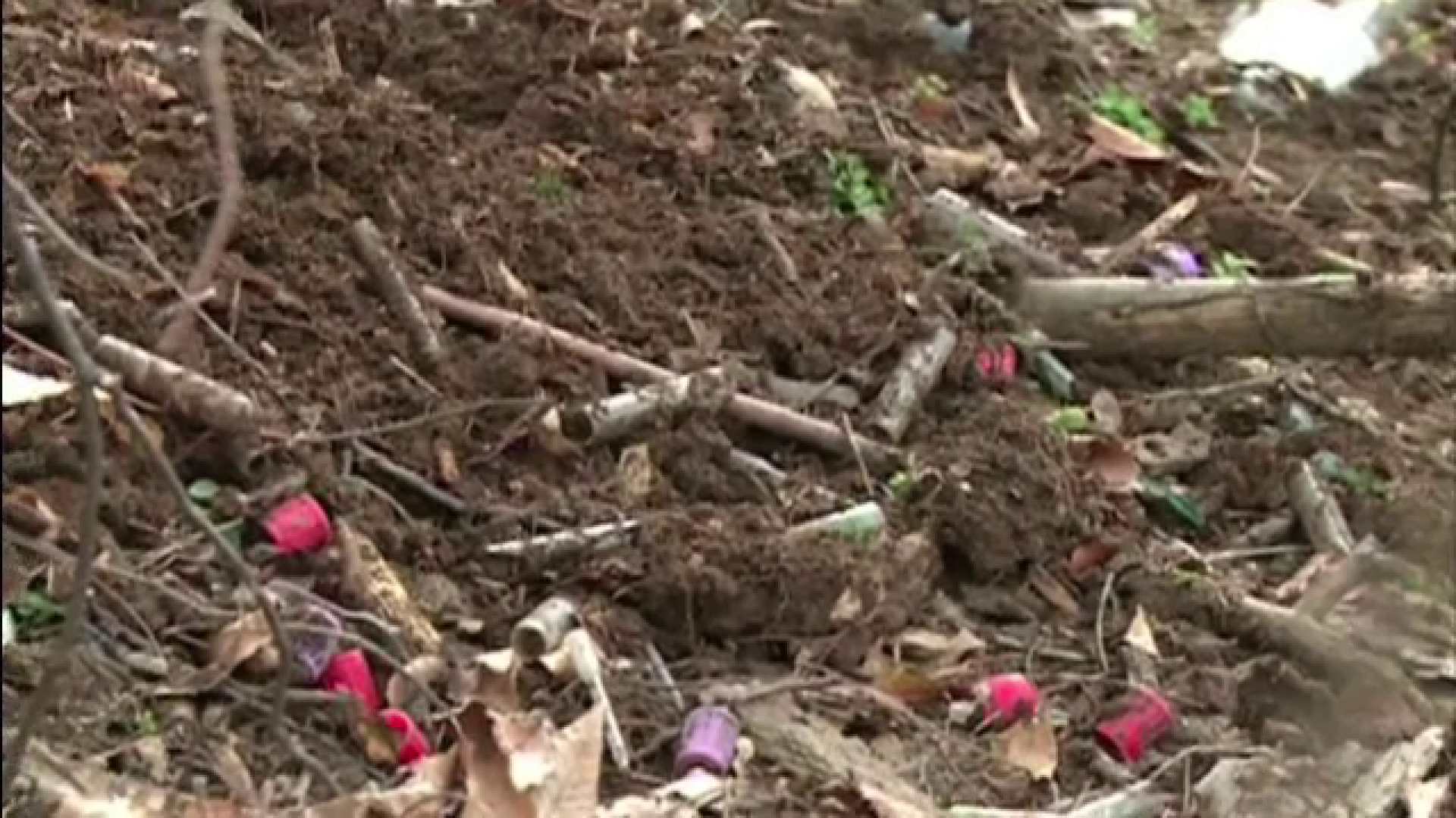 Ancheta in cazul zecilor de eprubete cu sange aruncate langa o padure din Medias. Cine ar fi vinovatul