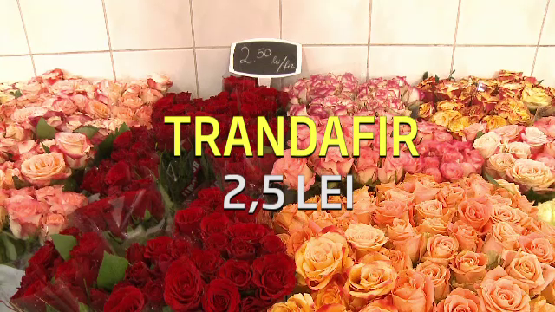 De 1 Martie au "inflorit" si preturile lalelelor, trandafirilor si zambilelor. Cu cat s-a vandut "firul" in pietele de flori