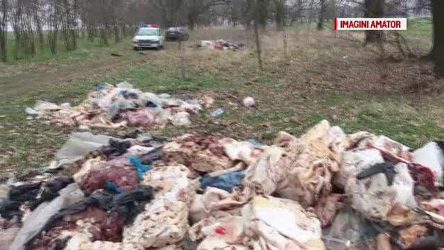 3 tone de carne, gasite pe un camp din Buzau. Descoperirea facuta de inspectorii de mediu pe etichetele produselor