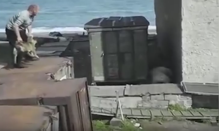 Imaginile in care acest barbat arunca un caine chiar in ghearele unui urs polar. Motivul surprinzator pentru care a facut-o