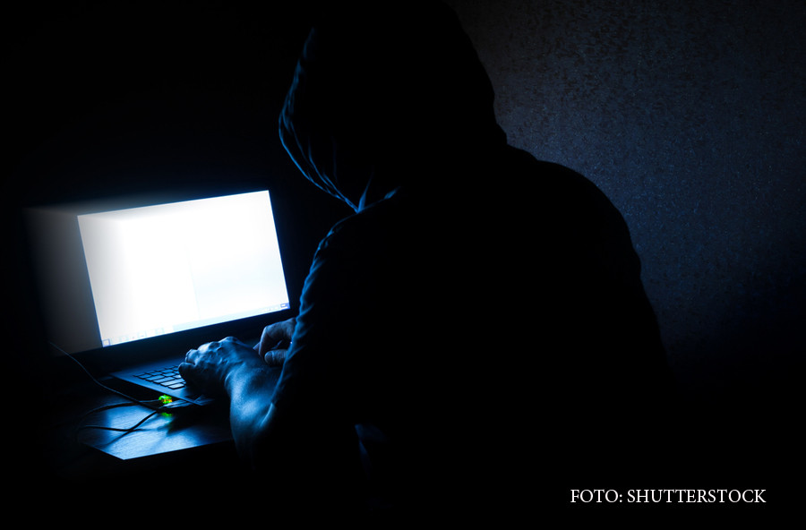 Codul Penal a fost modificat de Guvern. Pedepse mai mari pentru piraterie si fraude pe Internet