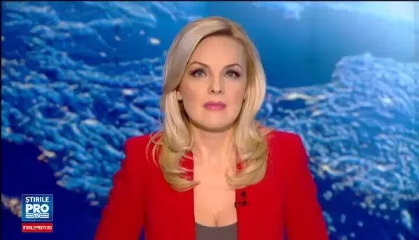 Un ursulet koala a cucerit internetul, dupa ce a fost fotografiat pe bicicleta unui australian. Ce isi dorea ursul