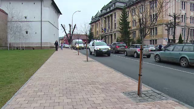 Au pavat trotuarul cu tot cu copaci. Imaginile care i-au revoltat pe locuitorii din Targu Mures