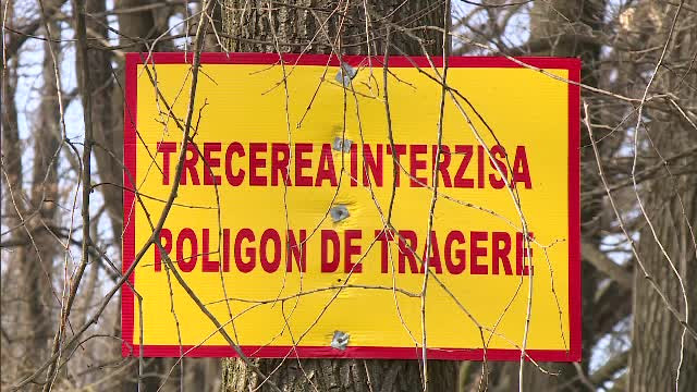 Cum au ajuns 1.000 de bucuresteni sa locuiasca langa poligonul de tragere al MAI. Oamenii se plang de gloantele din parbriz