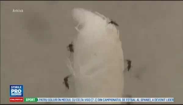 UE are termen pana la 17 martie pentru un acord cu Turcia privind refugiatii. Tusk: Vremea imigratiei ilegale a trecut