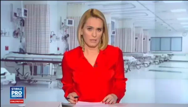 O bunica din Capitala, mutilata de un caine din rasa Amstaff. Ce s-a intamplat in cateva momente de la atac