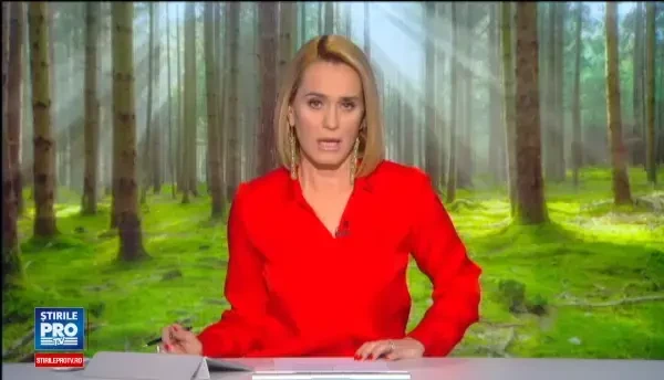 Jobul de la stat recompensat cu 5.000 de lei pe luna si masina de teren. Prin ce teste trebuie sa treaca Gardienii Padurilor