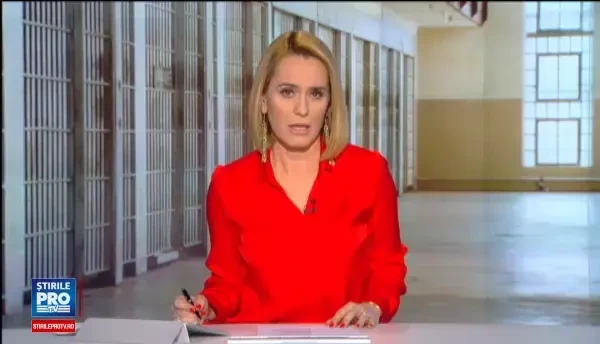 6 ani si jumatate de inchisoare pentru seful Carpatica, Ilie Carabulea. Amenda primita de compania de asigurari