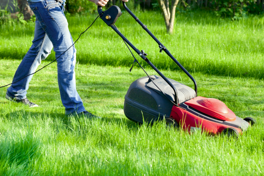 Tundea iarba cand pamantul s-a crapat si in fata ei a aparut o groapa cu o scara. Ce a vazut femeia cand s-a uitat mai atent
