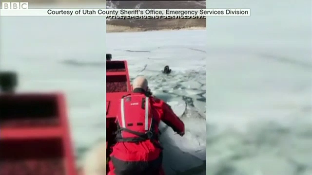 Un catelus a ramas captiv mai multe zile pe un lac inghetat din Utah. Cum a fost salvat animalul