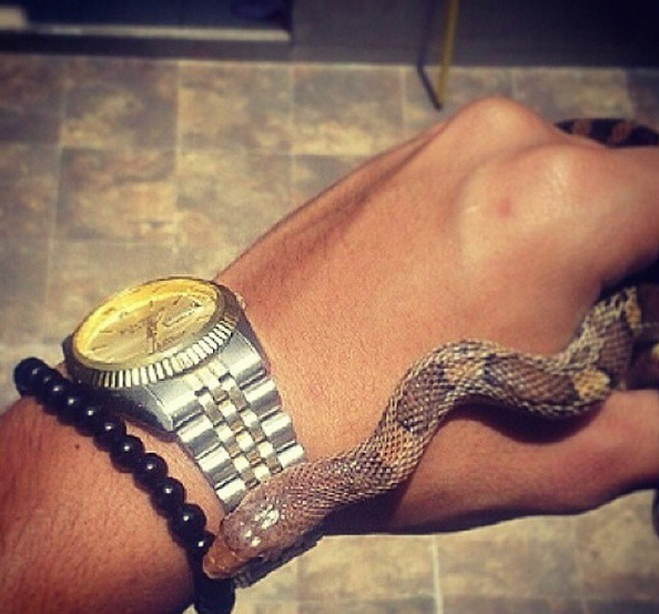 Rich kids of Mexico City