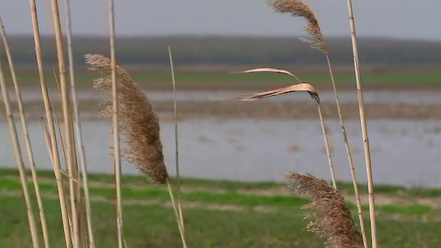 COD PORTOCALIU de inundatii pe Dunare: in Serbia, apele au distrus sute de gospodarii. Zonele cele mai afectate din Romania