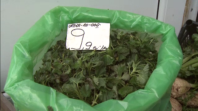 A inceput sezonul urzicilor, spanacului si steviei. Romanii le culeg de pe marginea drumului, in timp ce bulgarii au culturi