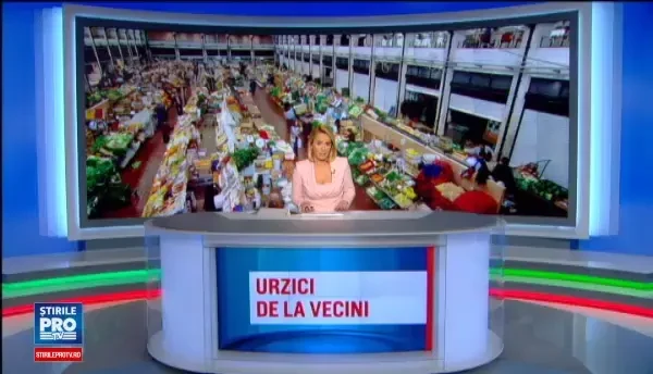 A inceput sezonul urzicilor, spanacului si steviei. Romanii le culeg de pe marginea drumului, in timp ce bulgarii au culturi