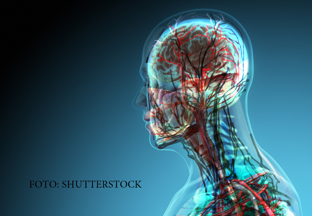 Creierul si maduva spinarii NU simt durerea. Problemele grave pe care le poate indica lipsa fortei