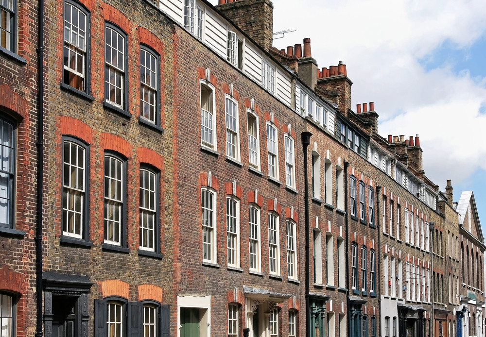 Un sobolan urias ar fi fost capturat la subsolul unui bloc de apartamente din Londra. Cum arata rozatoarea in realitate