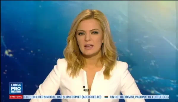 Un urs flamand terorizeaza un sat intreg. In ultimele patru zile a ucis 18 oi din gospodariile oamenilor