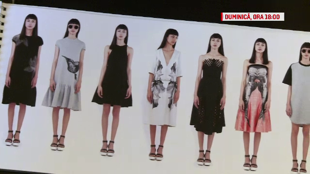 designeri romani