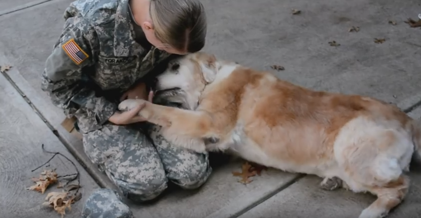 Momentul in care un soldat american se intoarce acasa dupa 3 luni. Cum reactioneaza catelusa cand il vede VIDEO