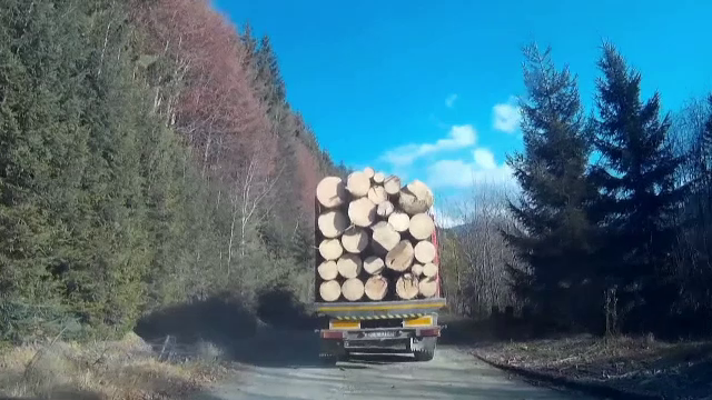 Defrisarile din Romania au ajuns in presa austriaca. Acuzatii grave la adresa companiei Schweighofer