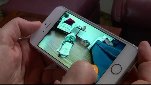 Care sunt cele mai noi gadgeturi pentru necuvantatoare. "Am creat o nevoie de care stapanii nici nu stiau ca exista"