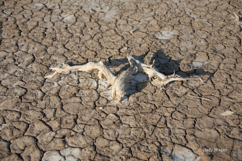 Tara care a declarat stare de catrastrofa naturala din cauza secetei. 2 milioane de oameni au nevoie de ajutor umanitar