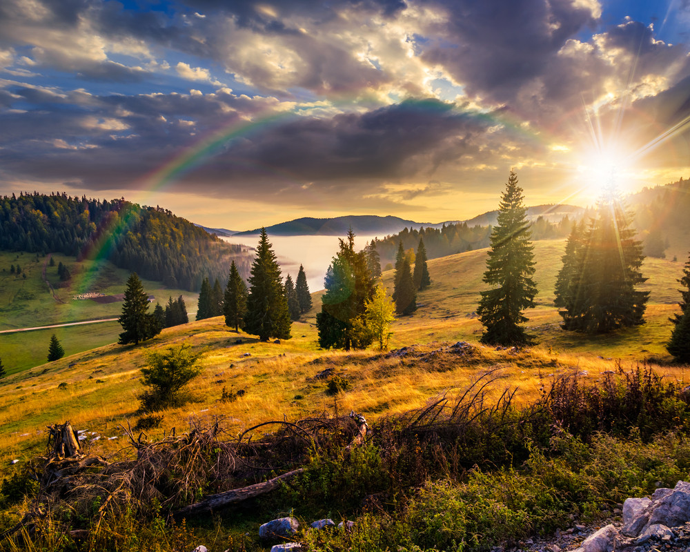 Soare si temperaturi in crestere in toata tara. Cum va fi vremea la sfarsitul saptamanii