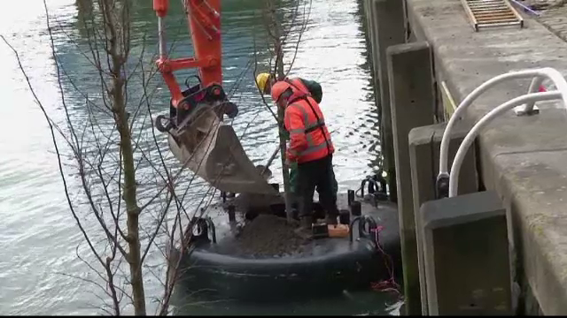 Olandezii au dat viata proiectului "padurea plutitoare". Peste 10 ani, o parte a orasului Rotterdam se va schimba complet