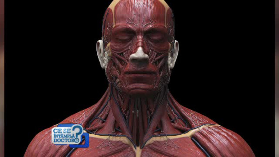 Creatorul chirurgiei plastice romanesti, despre semnele imbatranirii. Operatia care lupta cu efectele gravitatiei