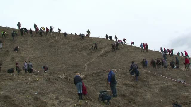 O padure de 10 hectare de puieti, plantata in Bistrita-Nasaud in mai putin de 3 ore. Mesajul voluntarilor