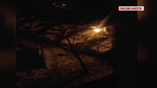 Reactia amuzanta a unui pusti cand a vazut ca ninge in martie: "Daca e cineva in Bucuresti sa se uite pe geam!"