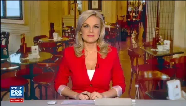 Cafenea cu pisici din Timisoara, loc de refugiu pentru felinele in cautare de stapan. E foarte terapeutic sa vii aici